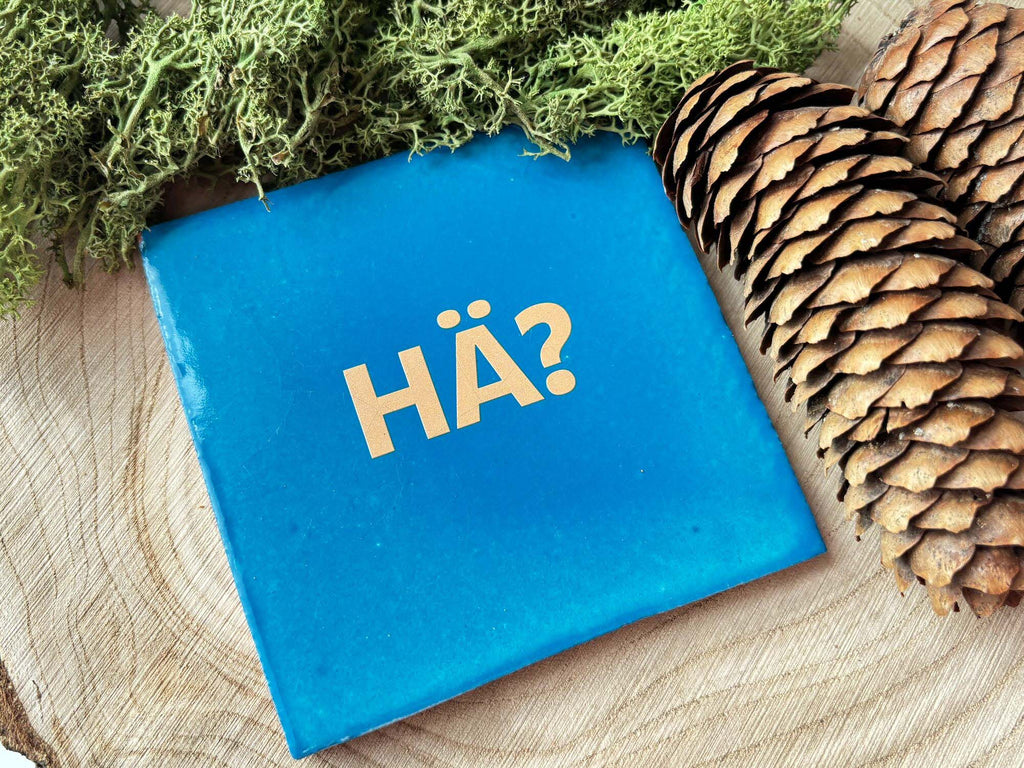 Schwarzwald-Kachl | HÄ?