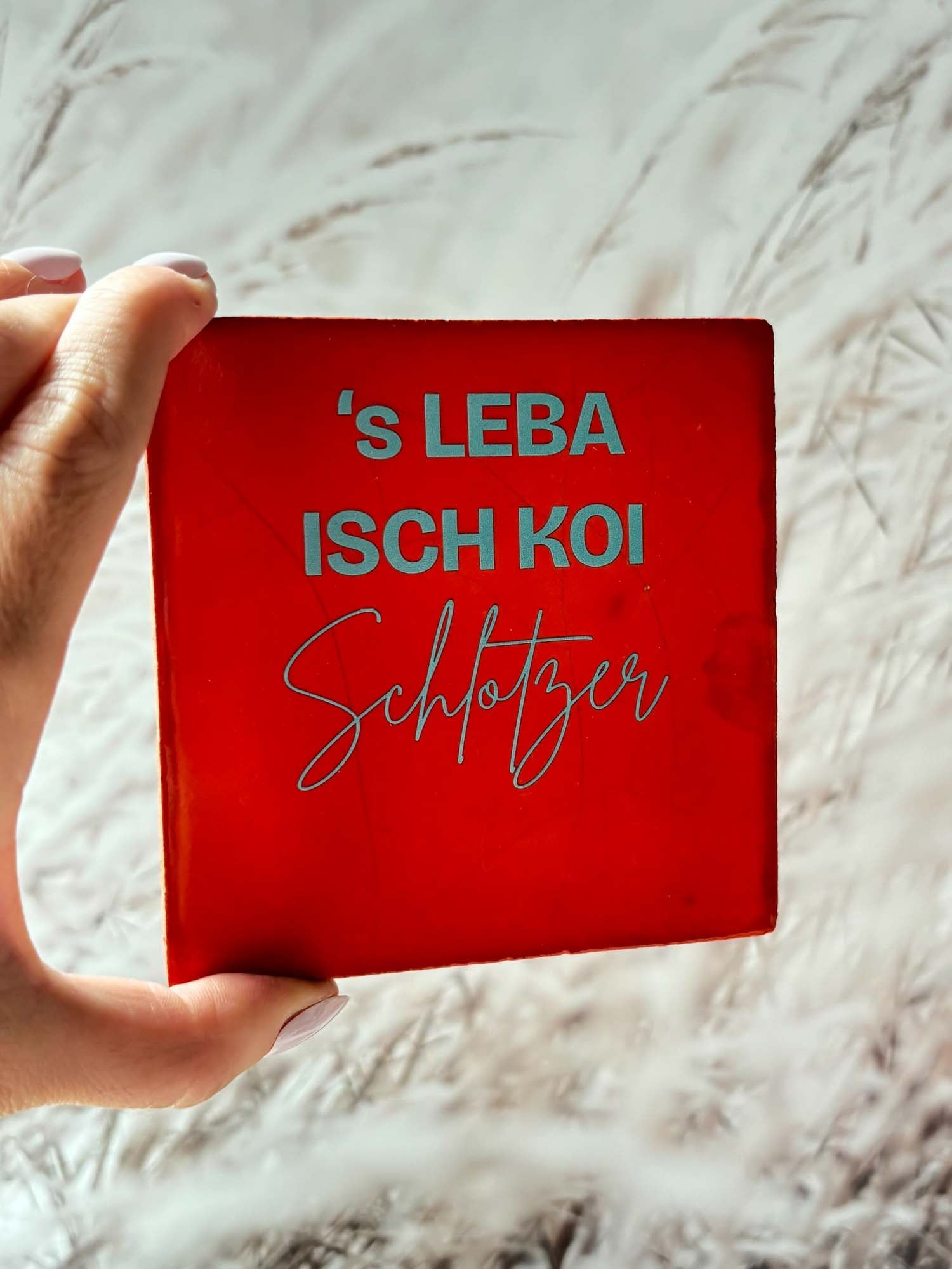 Schwarzwald-Kachl | s Leba isch koi Schlotzer