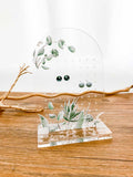 Display Ohrstecker – Eucalyptus